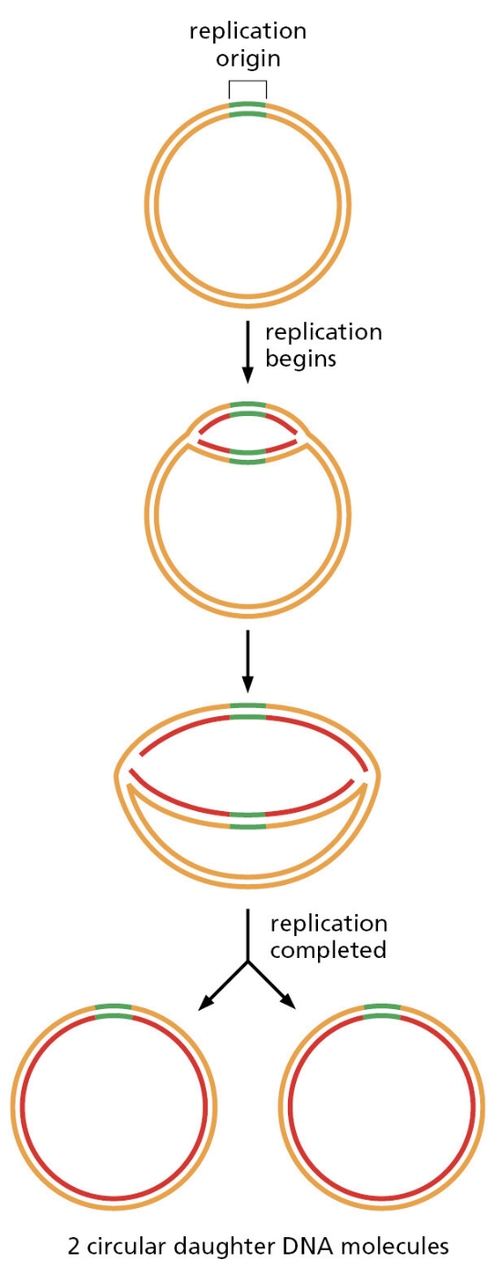 Figure 5-24.png
